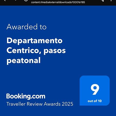 דירות מנדוזה Departamento Centrico, Pasos Peatonal מראה חיצוני תמונה
