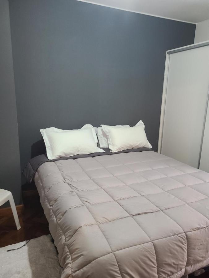 דירות מנדוזה Departamento Centrico, Pasos Peatonal מראה חיצוני תמונה